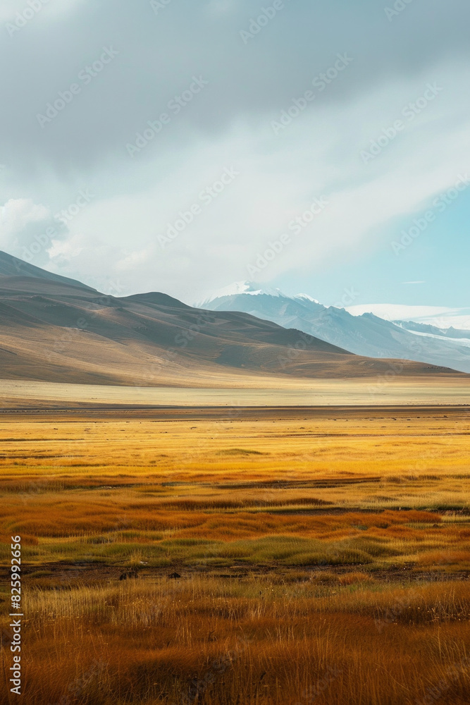 Flat plains with minimal vegetation and a focus on texture and color gradients 