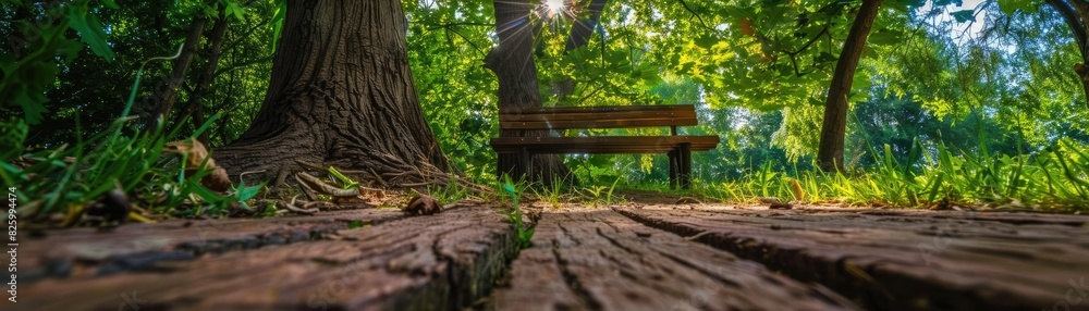 Fototapeta premium Serene wooden park bench surrounded by lush greenery and trees, captured from a low angle on a sunny day.