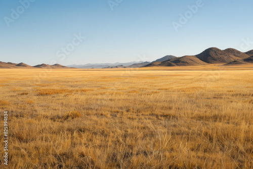 Flat plains with minimal vegetation and a focus on texture and color gradients  photo