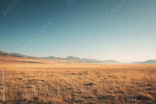 Flat plains with minimal vegetation and a focus on texture and color gradients 