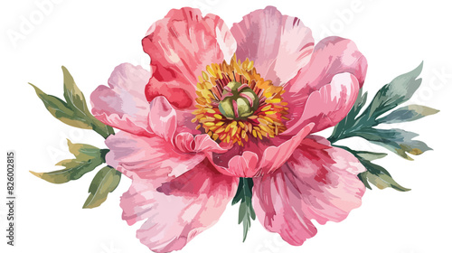 Summer flower watercolor pink peony. Floral clip art.