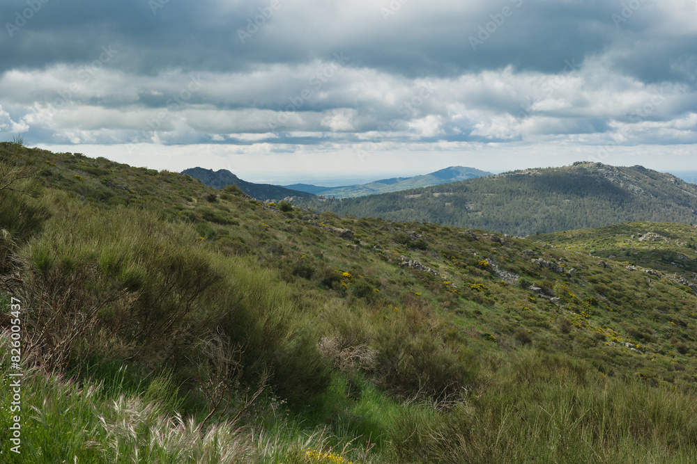 landscape, view, nature, spring, green, spain, flora, plants, be landscape, view, nature, spring, green, spain, flora, plants, be