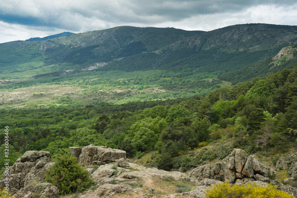 Fototapeta premium landscape, view, nature, spring, green, spain, flora, plants, be