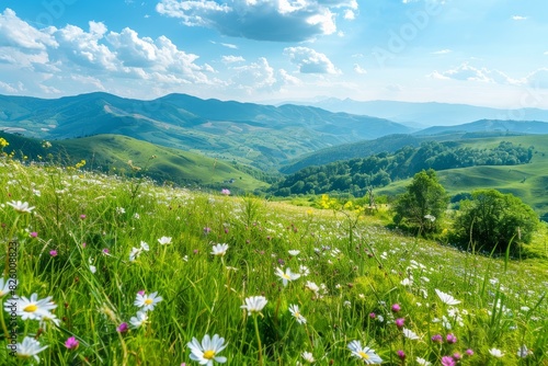 Idyllic mountain landscape with green meadows and wildflowers  sunny day  rural nature view