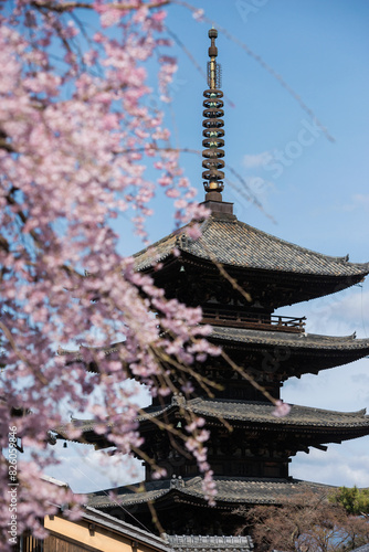 春の京都東山区 photo