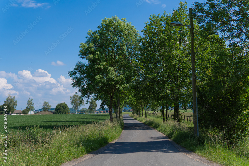 Green grass field on small hills and blue sky with clouds Green grass field on small hills and blue sky with clouds