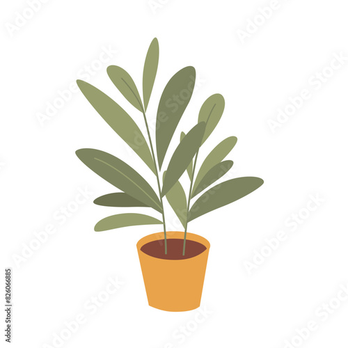 House plant in pot isolated vector illustration. Indoor flowerpot in home. Flower in ceramic container. Room interior decor. Green office concept