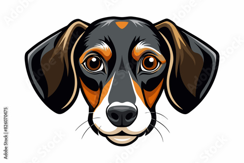 alpine dachsbracke dog face vector artwork illustration