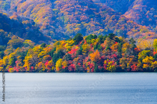 秋の中禅寺湖 photo