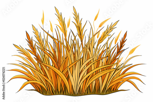 dry grass different style vector artwork illustration