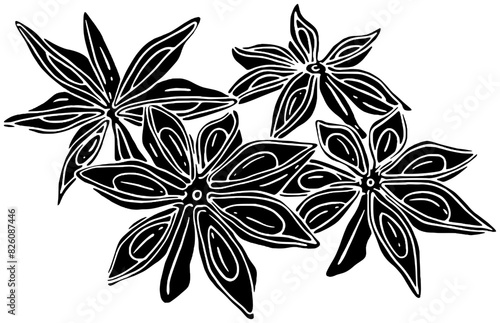 anise illustration seasoning silhouette food logo herb icon cooking outline spice seed organic ingredient condiment cinnamon indian star dry shape aroma pepper aromatic for vector graphic background