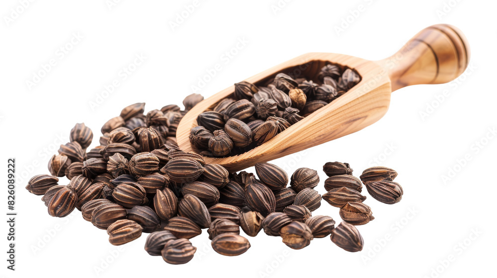 Fototapeta premium A wooden spoon holds various seeds on a clean white surface, showcasing a natural and organic element