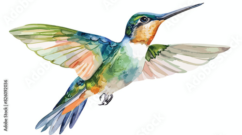 Hummingbird watercolor illustration tropical bird  © Geforce
