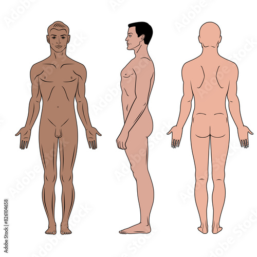 Fashion man body full length, haircut, template figure silhouette (front, back and side views), vector illustration isolated on white background