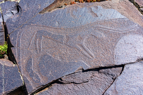 Tamgaly, a petroglyph site in the Zhetysu of Kazakhstan, a UNESCO World Heritage Site. Petroglyphs of Group III of the site. The Pregnant Cow.