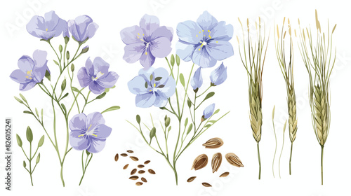 Linum floral with flaxseed. Blooming wild flax photo