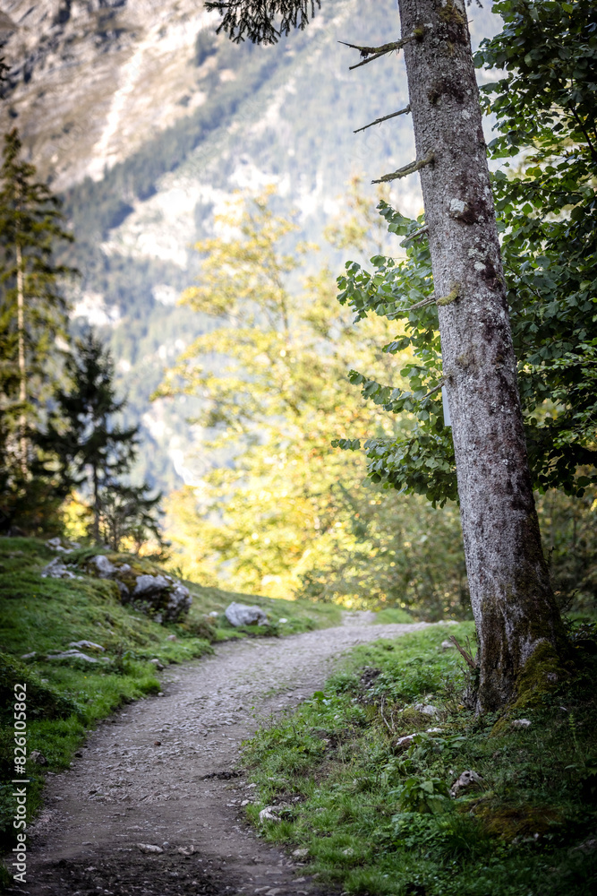 Königssee Königssee