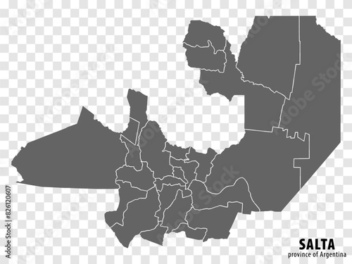Blank map Salta  Province of Argentina. High quality map Province of Salta  with districts on transparent background for your web site design, logo, app, UI. Argentine Republic.  EPS10.