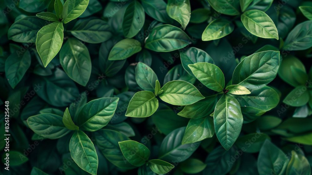 Nature concept background Nature concept background