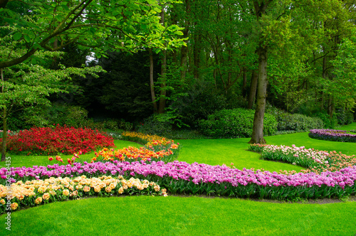 Spring flower park with green grass, trees and blooming flowers