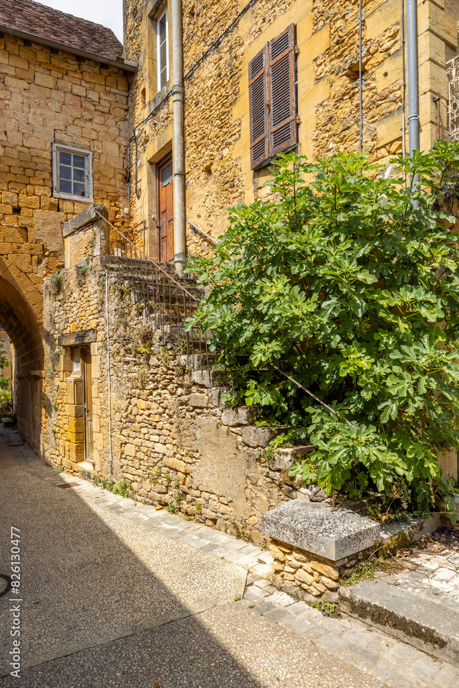 Fototapeta premium Cloitre de Cadouin (Abbaye de Cadouin), UNESCO World Heritage Site, Le Buisson-de-Cadouin, Dordogne department, New Aquitaine, France