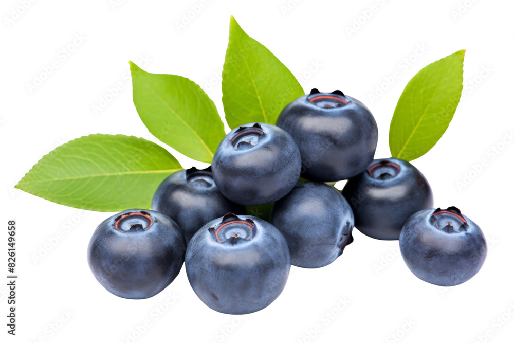 Branch of delicious ripe blueberry isolated on white background Branch of delicious ripe blueberry isolated on white background