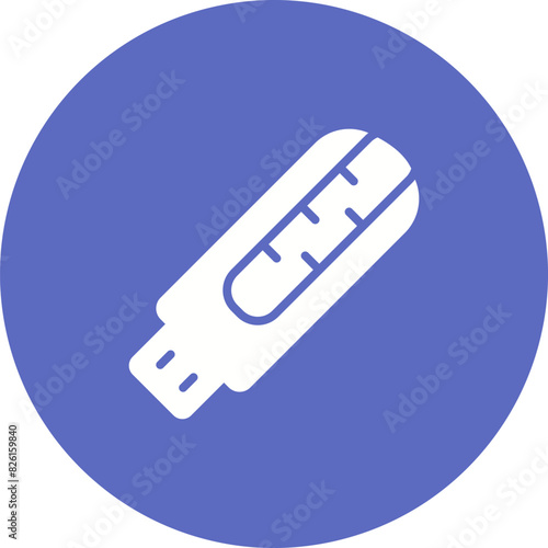 Pendrive Vector Icon
