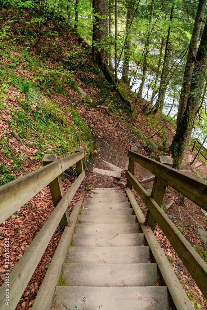 A wooden staircase leads down to the river on the mountain. At the waterfall of Uelhs deth Joèu in Pyrenees, Vall d'Aran, Catalonia, Spain. A wooden staircase leads down to the river on the mountain. At the waterfall of Uelhs deth Joèu in Pyrenees, Vall d'Aran, Catalonia, Spain.