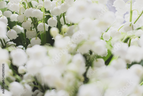 Beautiful lily of the valley bouquet, close up. Idyllic lily of the valley. Wild spring flowers concept. Tenderness and purity concept. Aroma white flowers. Romance background.