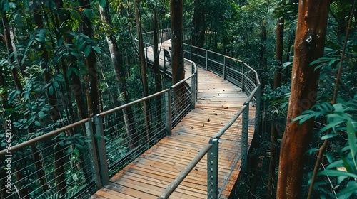  A pathway of wood in a dense forest  surrounded by tall trees and enclosed by metal fencing