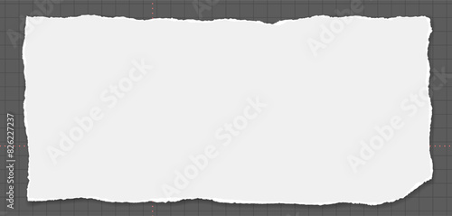White paper strip with torn edges and soft shadow is on squared background for text, notes or ad.