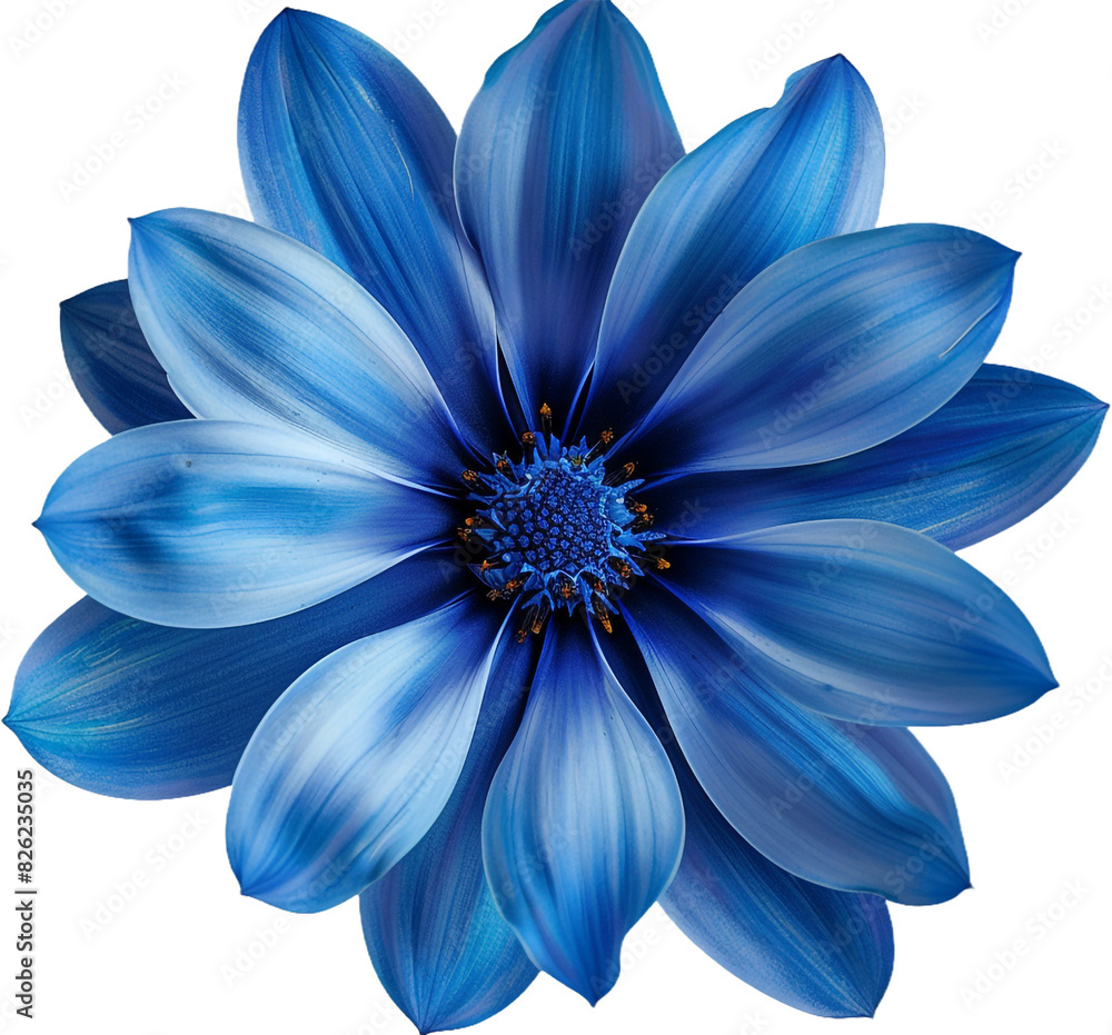 Fototapeta premium blue flower isolated on transparent background