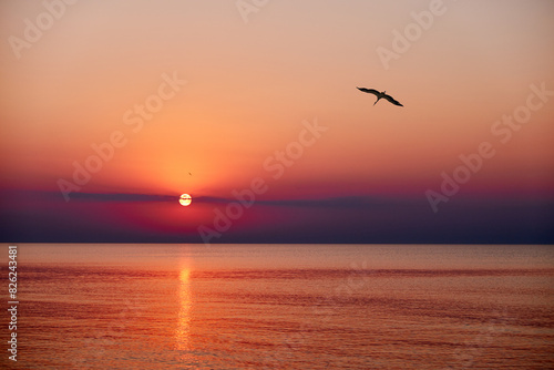 A serene sunset over a calm ocean with birds flying in the sky. The sun dips below the horizon, casting a warm glow over the landscape.