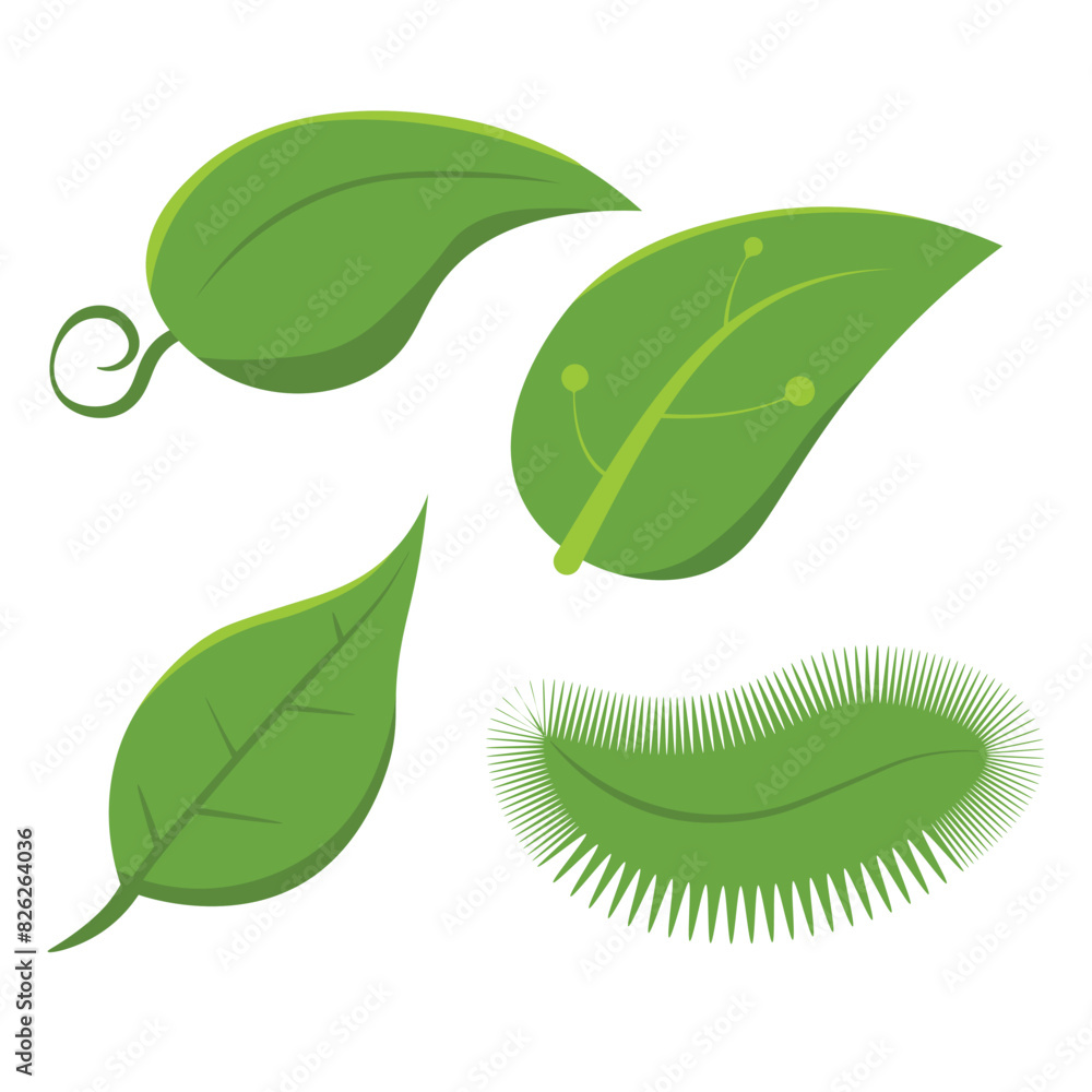 Set of isolated green leaves. Botanical leaf green plant Set of isolated green leaves. Botanical leaf green plant