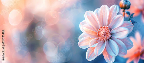 Close-up of pink flower with soft bokeh background © Iryna