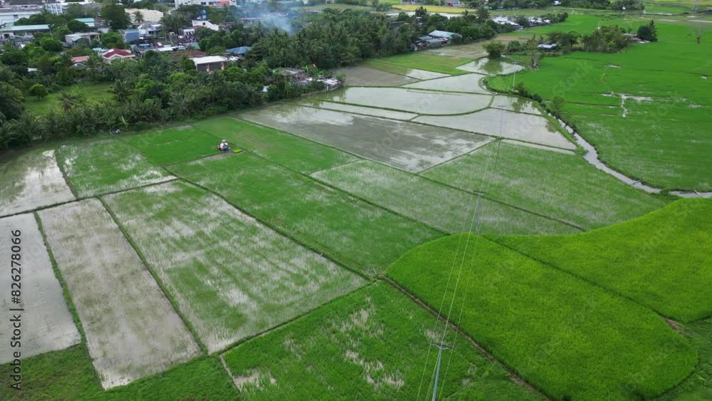 Orbiting aerial view of agricultural fields with rice paddies in Catanduanes, Bicol, Philippines. Orbiting aerial view of agricultural fields with rice paddies in Catanduanes, Bicol, Philippines.