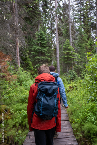 Two peole hike on a boardwalk through an evergreen forest.