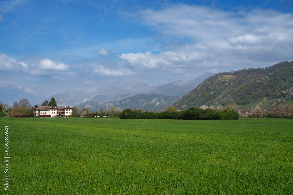 Landscape  near Imbersago, Lecco province, Italy, at springtime