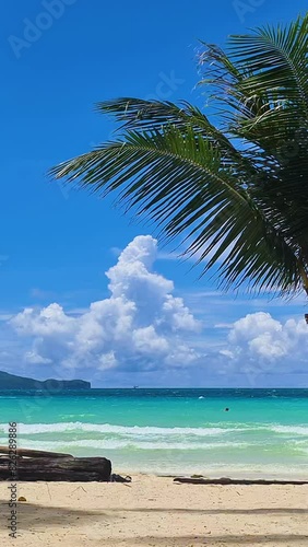 Vertical View, Exotic Tropical Island Scenery, White Sand Beach, Palm Tree and Turquoise Sea photo
