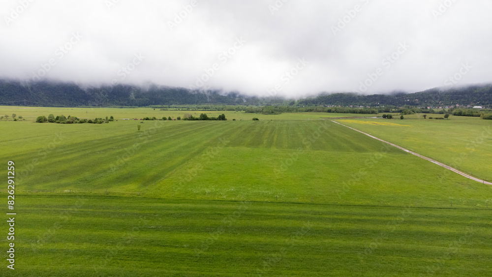Fototapeta premium Nature landascape aerial shot of green field in Croatia