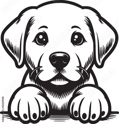 Labrador Dog Peeking Vector Illustration