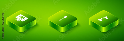 Set Isometric Sperm, Human broken bone and Monitor with cardiogram icon. Vector