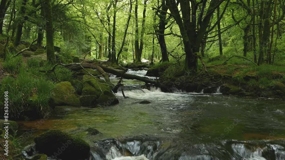 The River Fowey flowing through woodland in late Spring. Golitha Falls Nature Reserve. Cornwall. England. The River Fowey flowing through woodland in late Spring. Golitha Falls Nature Reserve. Cornwall. England.