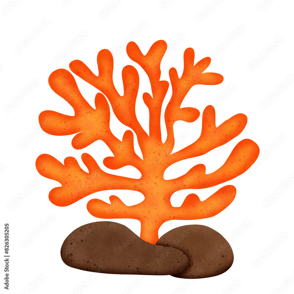Naklejka premium coral decoration