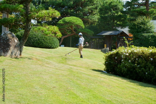 日本庭園の芝刈りをする職人