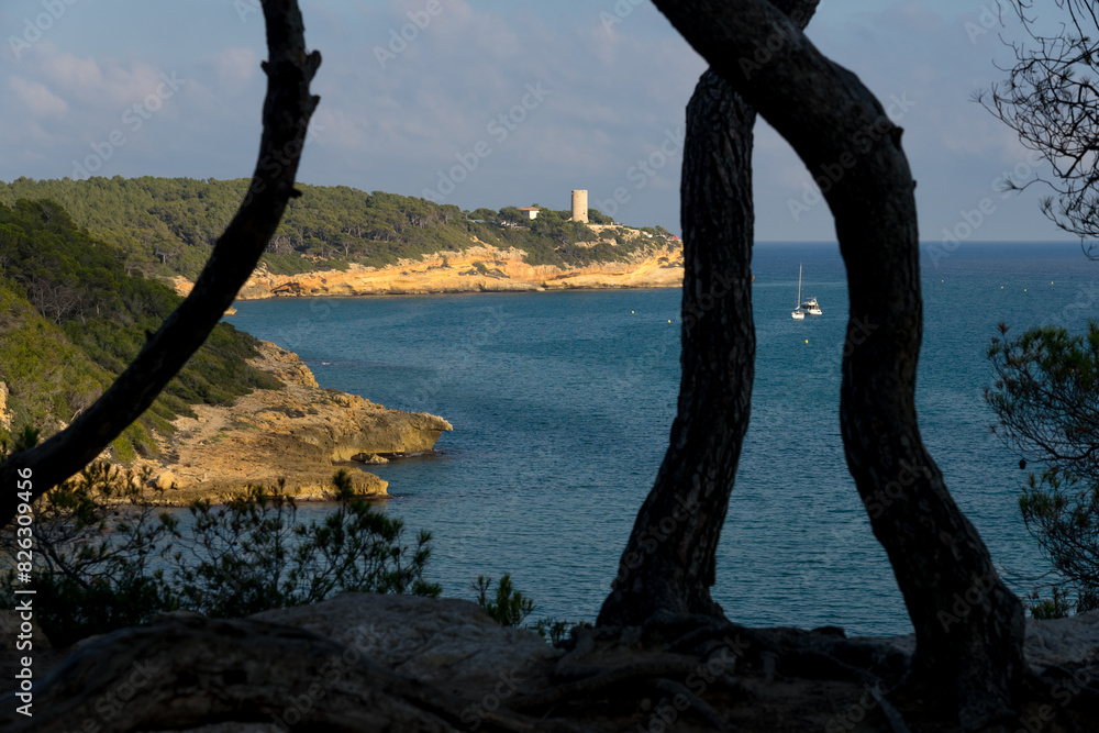 Fonda beach (Cala Fonda) and La Marquesa pine forest with the Mora tower and the cliffs in the background in a sunny day. Tarragona, Catalonia, Spain.