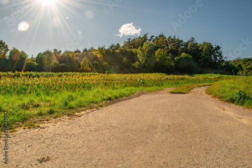 Figurenfeld im Hessental, Stadt Eichstaett, Naturpark Altmühltal photo