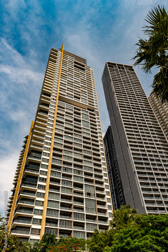 Fototapeta premium Exterior of high risers and trees silhouetted against a vibrant sunset