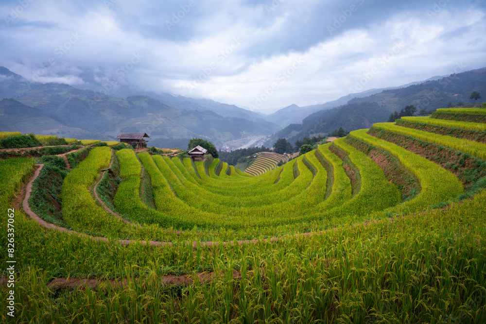 Bird's-eye view of Mong Ngua terraced fields in Mu Cang Chai, Vietnam.