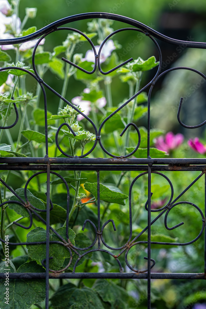 a bird perched on a fence next to a bush of flowers a bird perched on a fence next to a bush of flowers